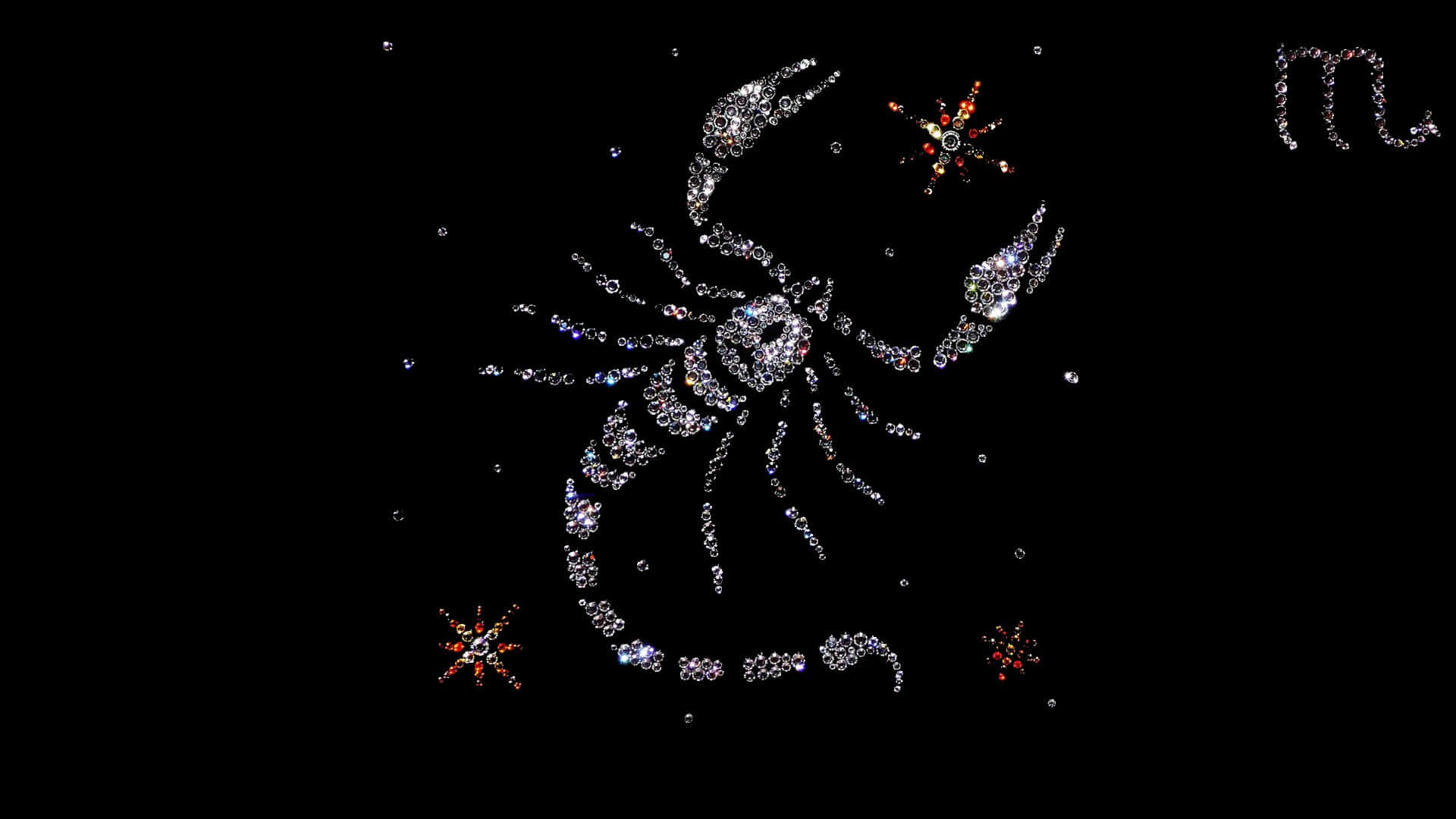 A Scorpion Is Shown On A Black Background Background