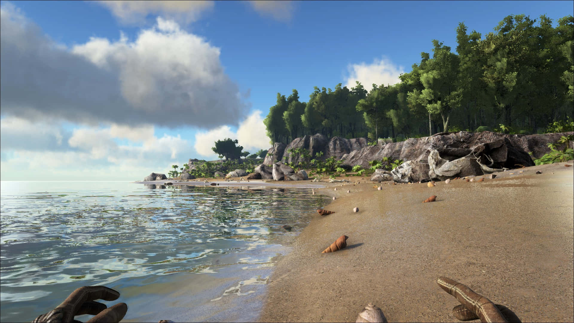 A Screenshot Of A Beach With A Tree And A Palm Tree Background