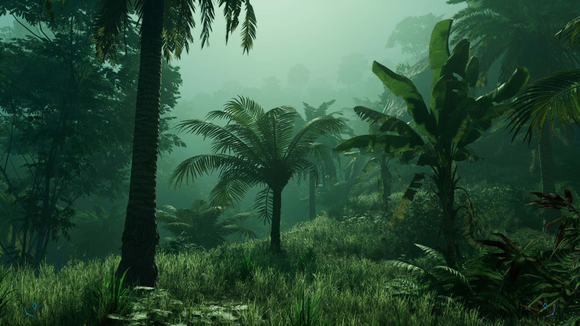 A Screenshot Of A Tropical Jungle Background