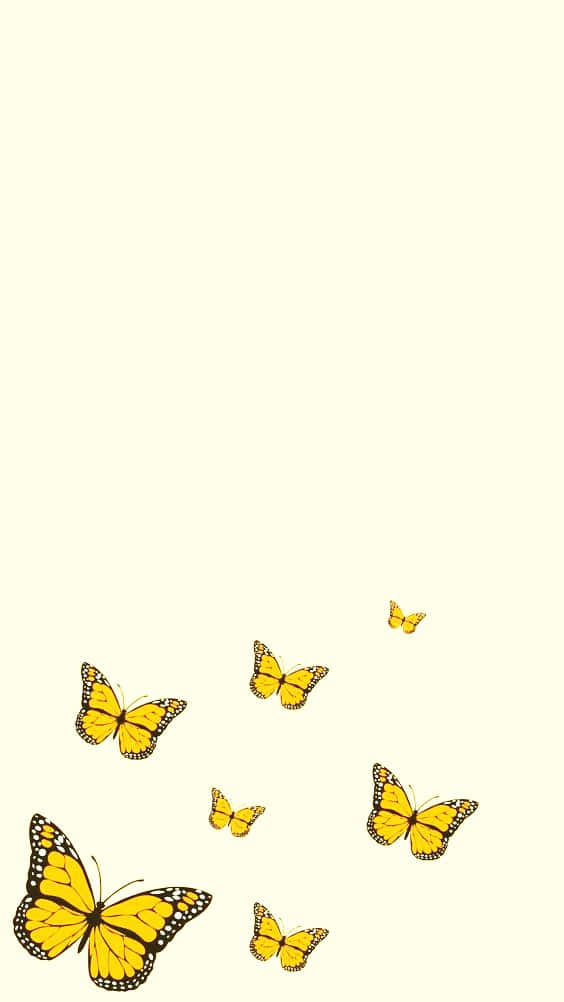 A Sea Of Cute Yellow Butterflies