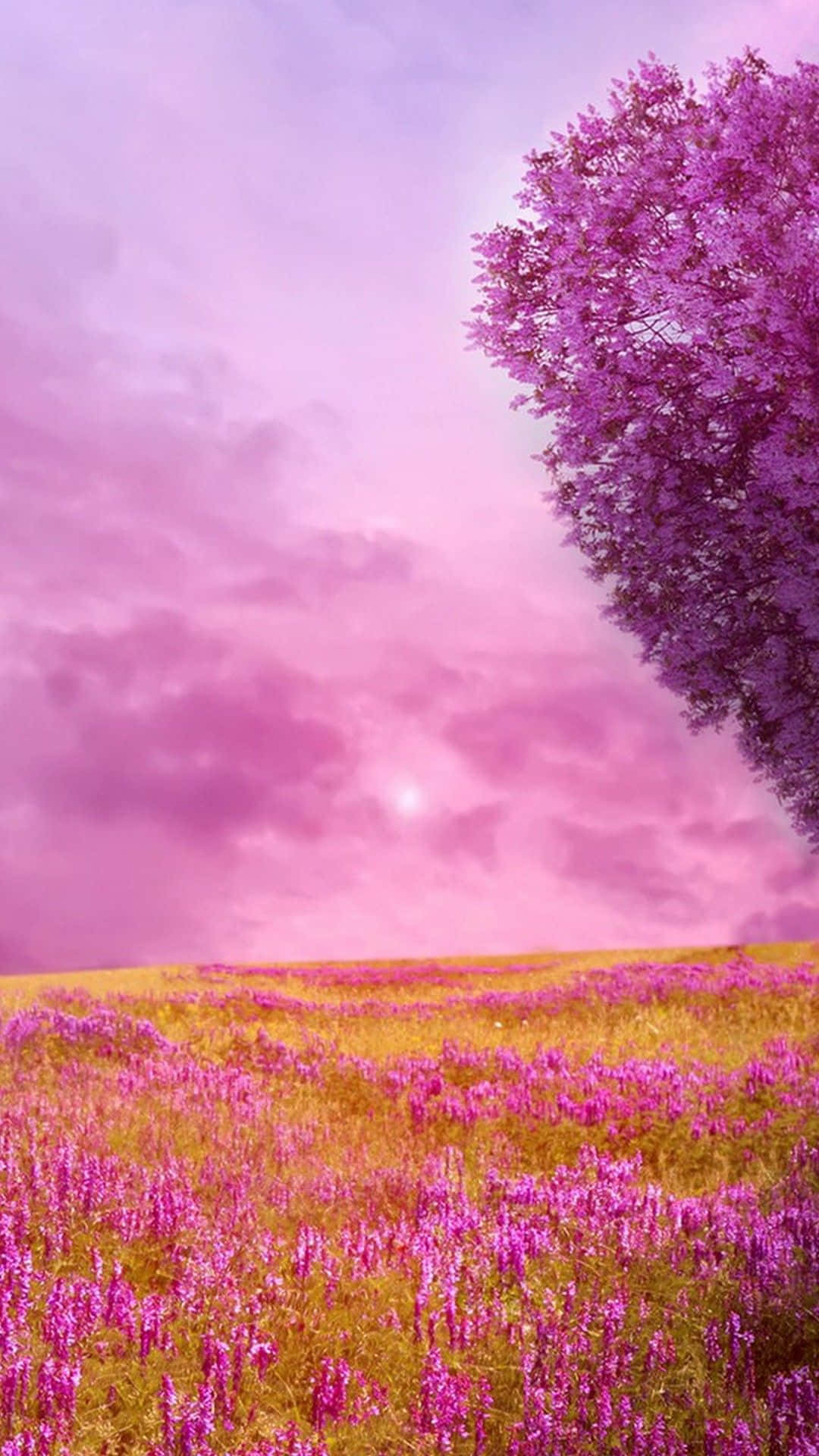 A Serene And Lush Landscape Composed Of An Evergreen Forest, A Sun-drenched Meadow, And A Powerful Waterfall. Background