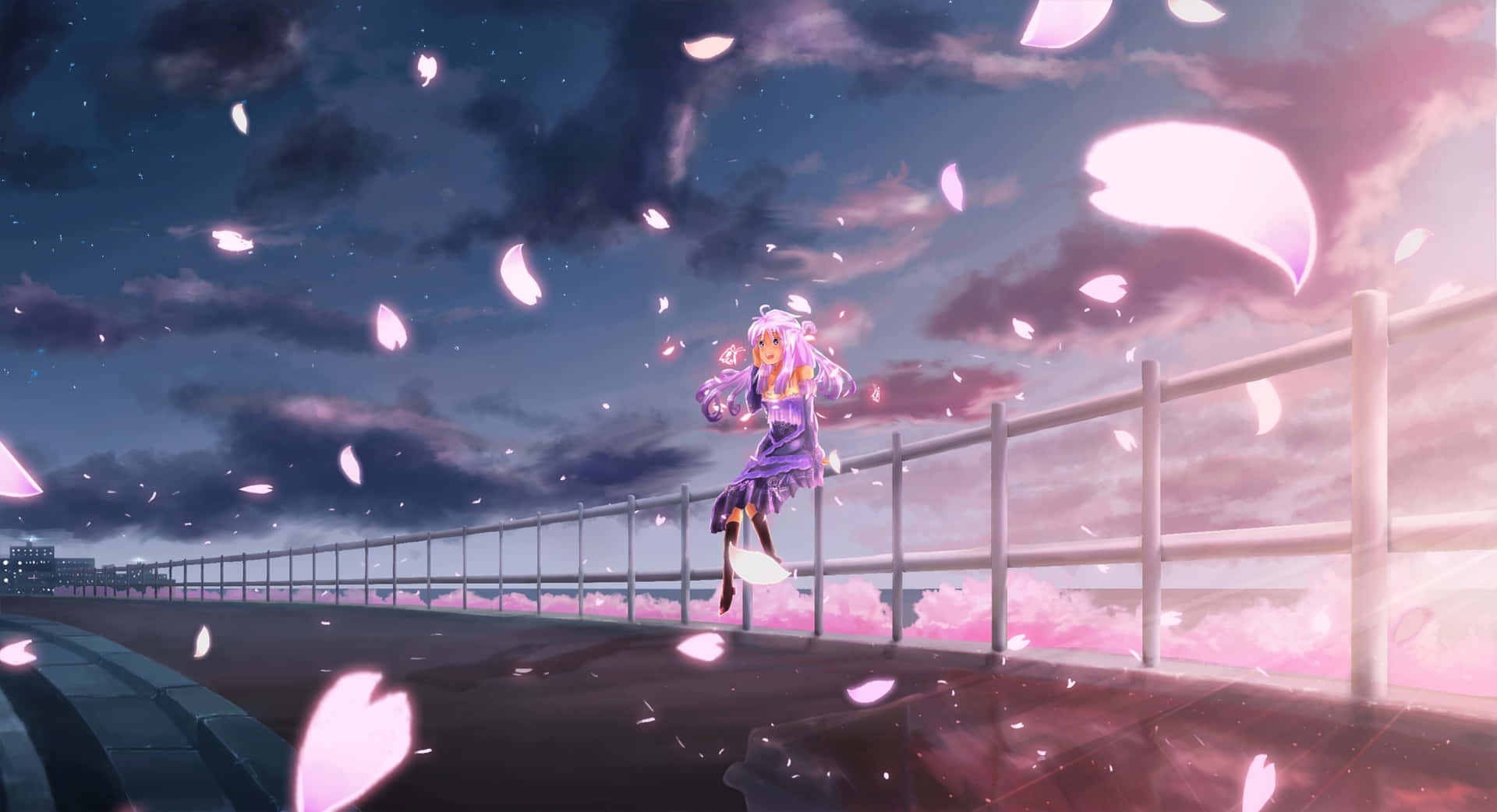 A Serene Night Filled With Cherry Blossoms Background