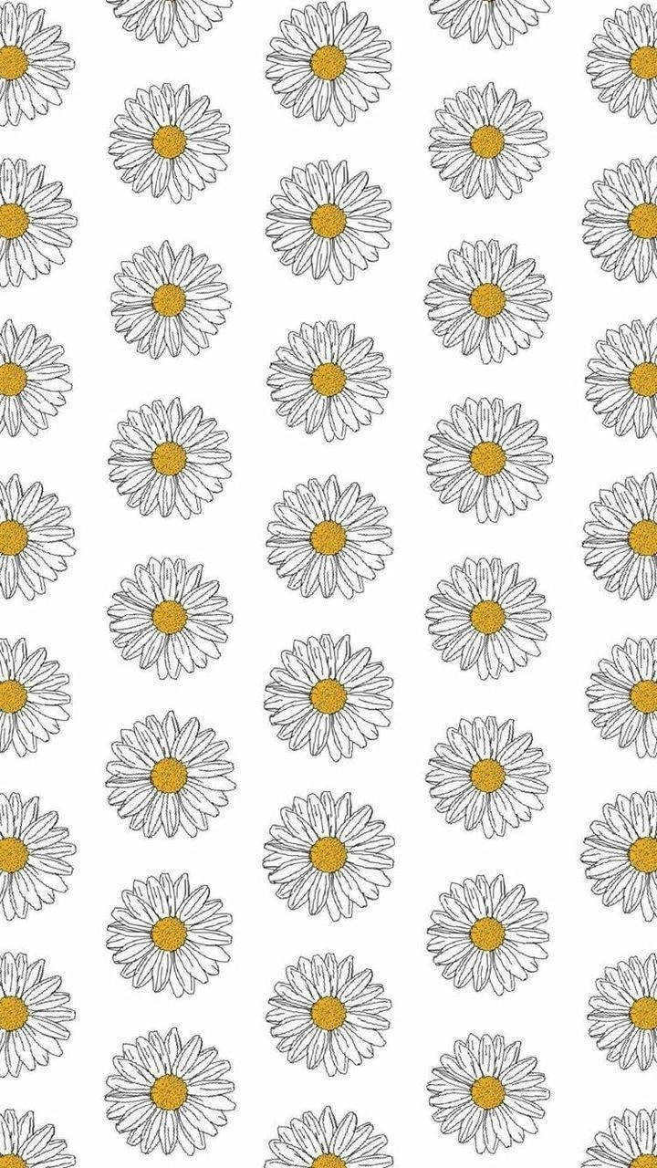 A Serene White Daisy Aesthetic Pattern Art