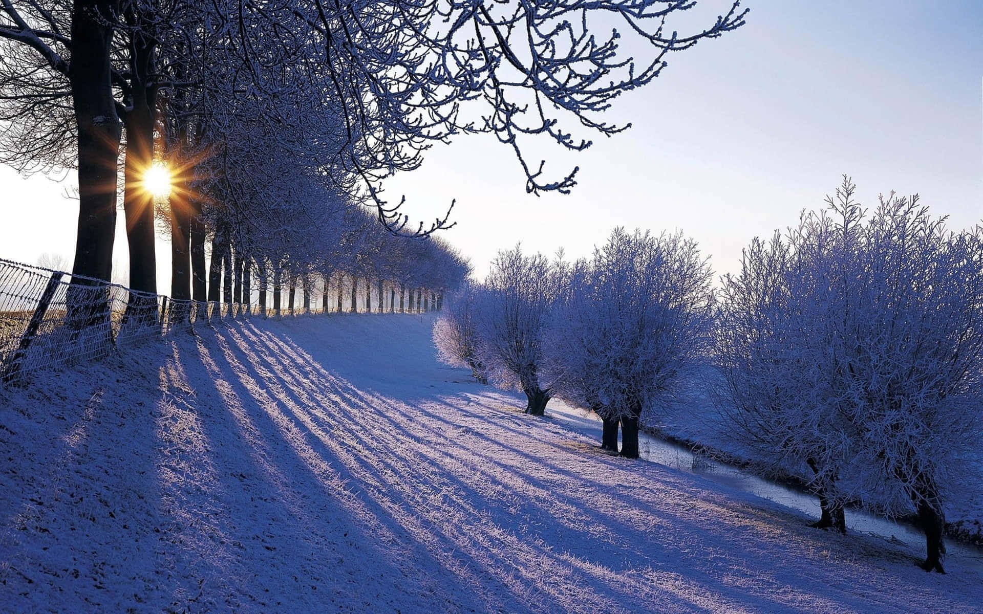 A Serene Winter Scenery Background