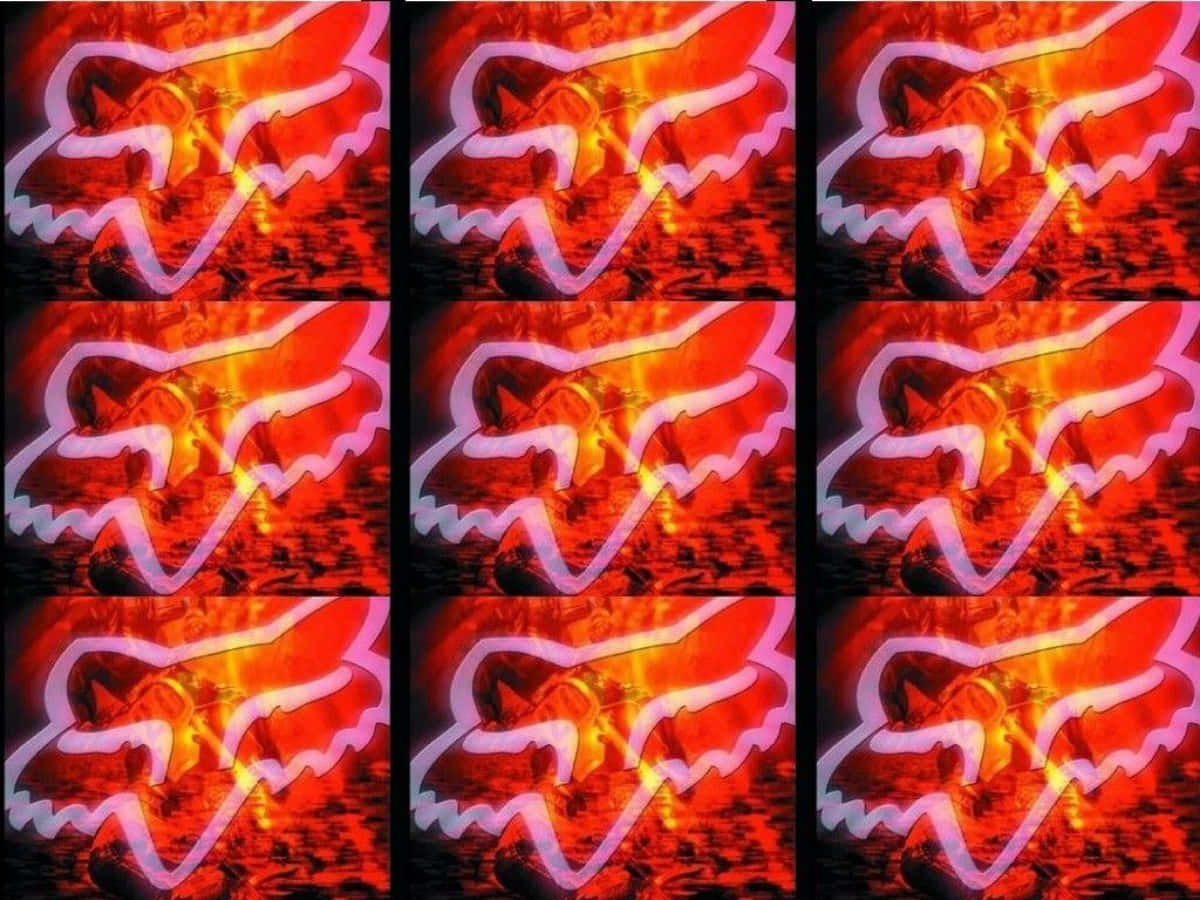 A Series Of Images Of Foxes In Red And Orange Background