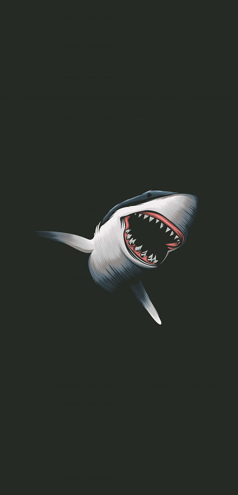 A Shark With Its Mouth Open In The Dark Background