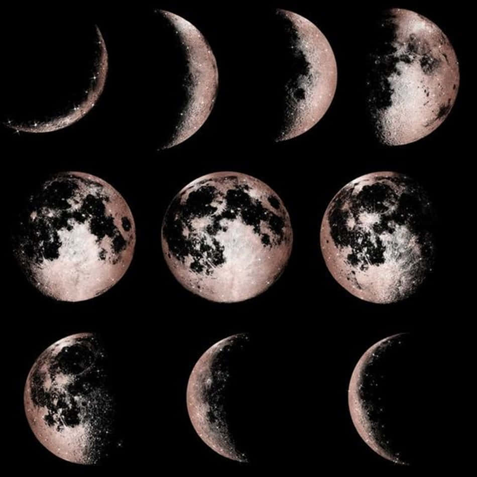 A Shimmering Rose Gold And Black Color Combination.