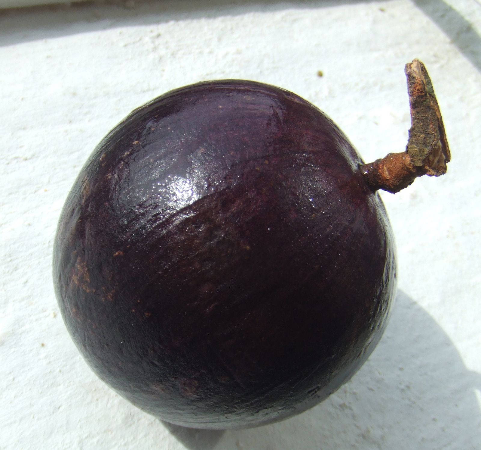 A Shiny Star Apple