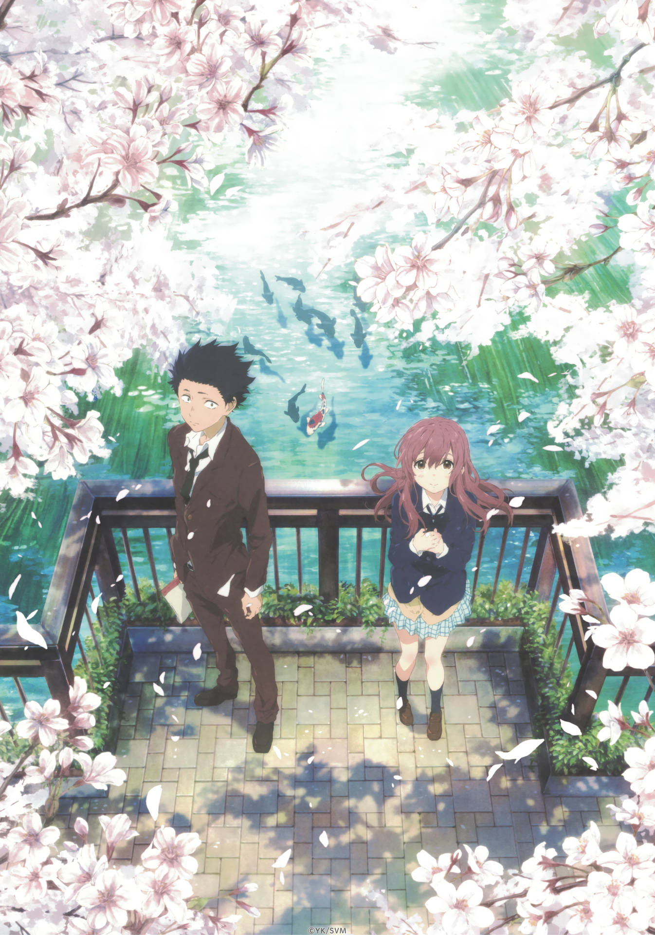 A Silent Voice Couple Sakura Pond Background