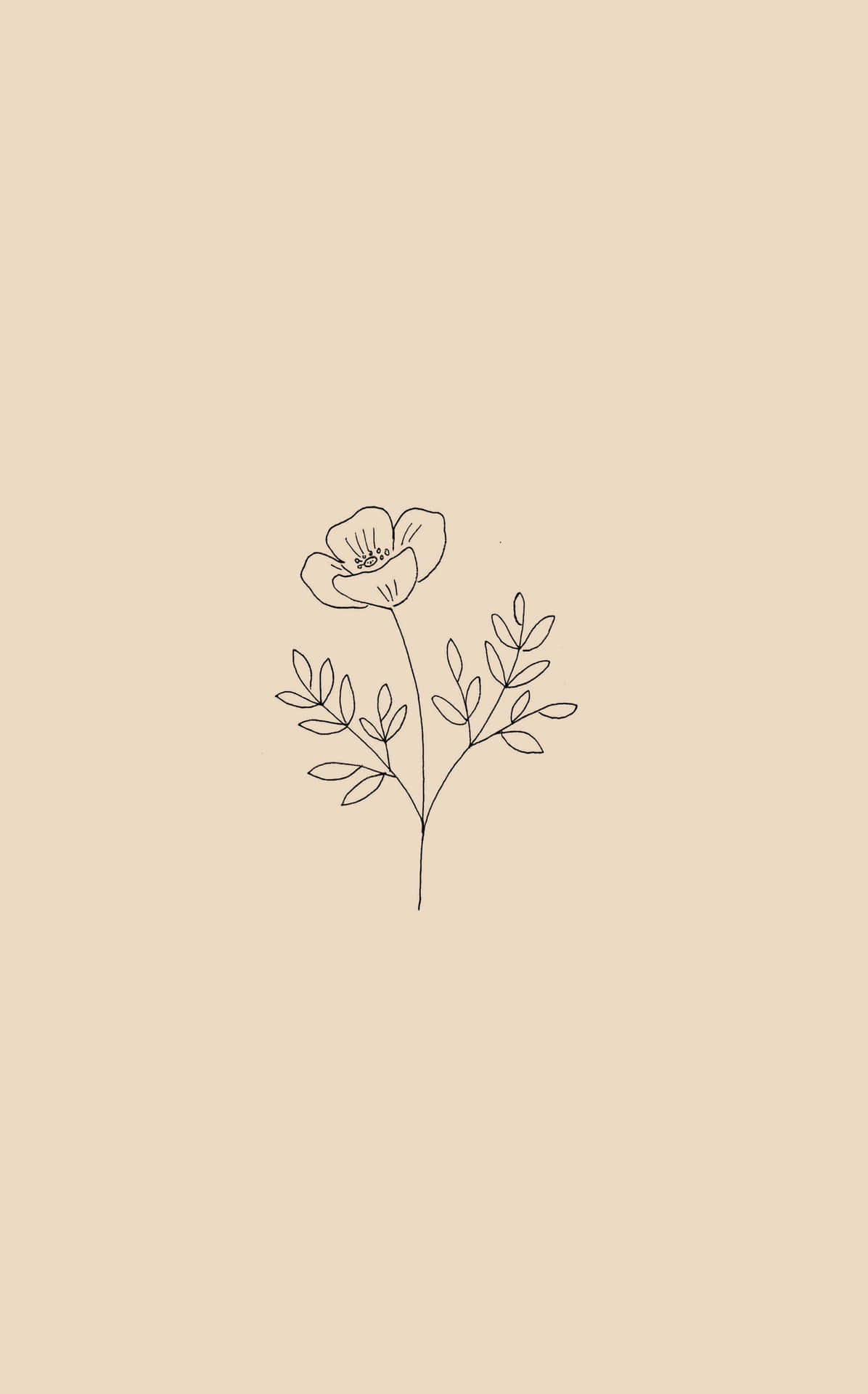 A Simple Flower Design On A Beige Background Background