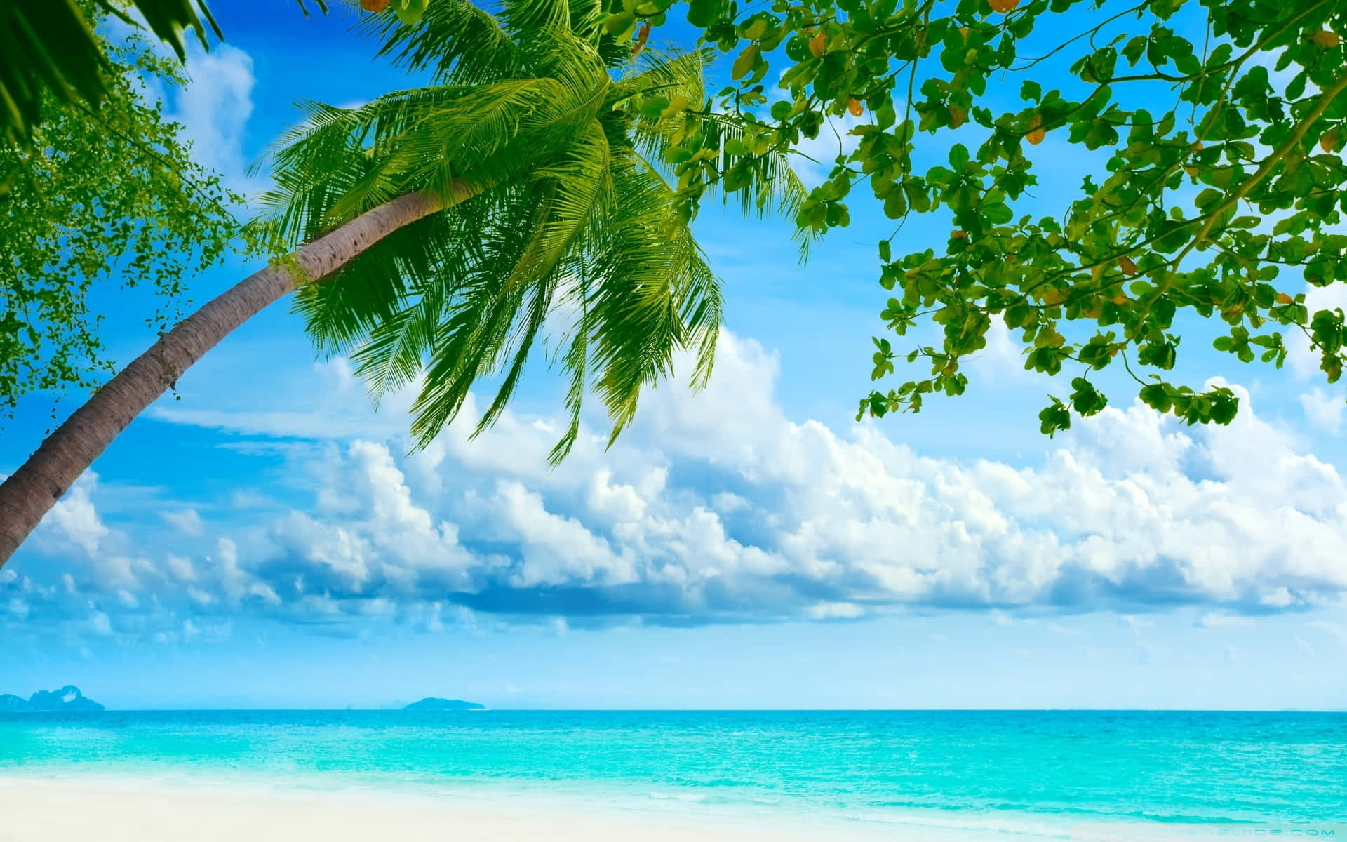 A Simply Stunning Tropical Beach Scene With Beach Cabanas, Palm Trees, And Crystal Blue Water. Background