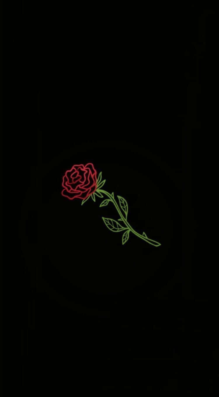 A Single Rose Reflects Beauty And Grace Background