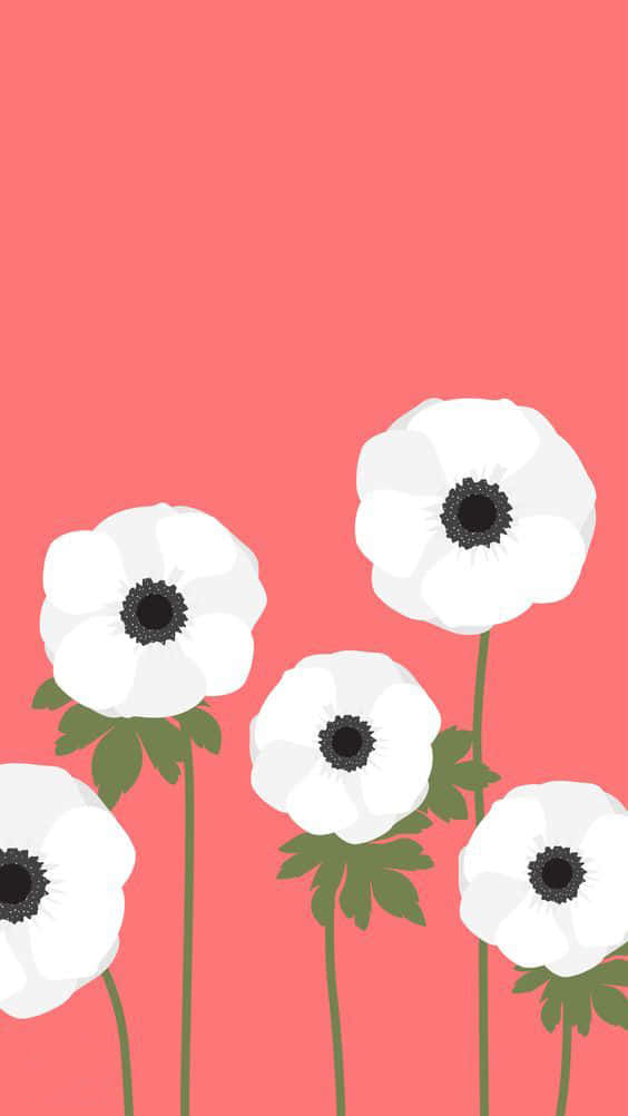 A Single, Simple Flower Blooming Background