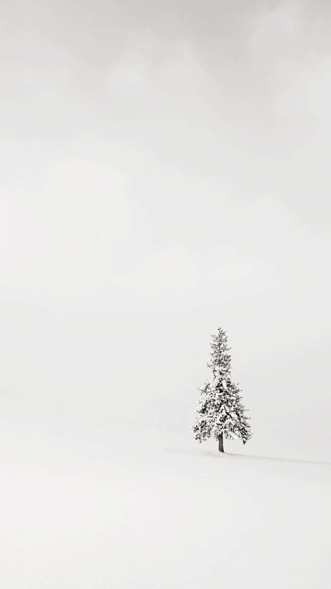 A Single Tree In A Snow Covered Field Background
