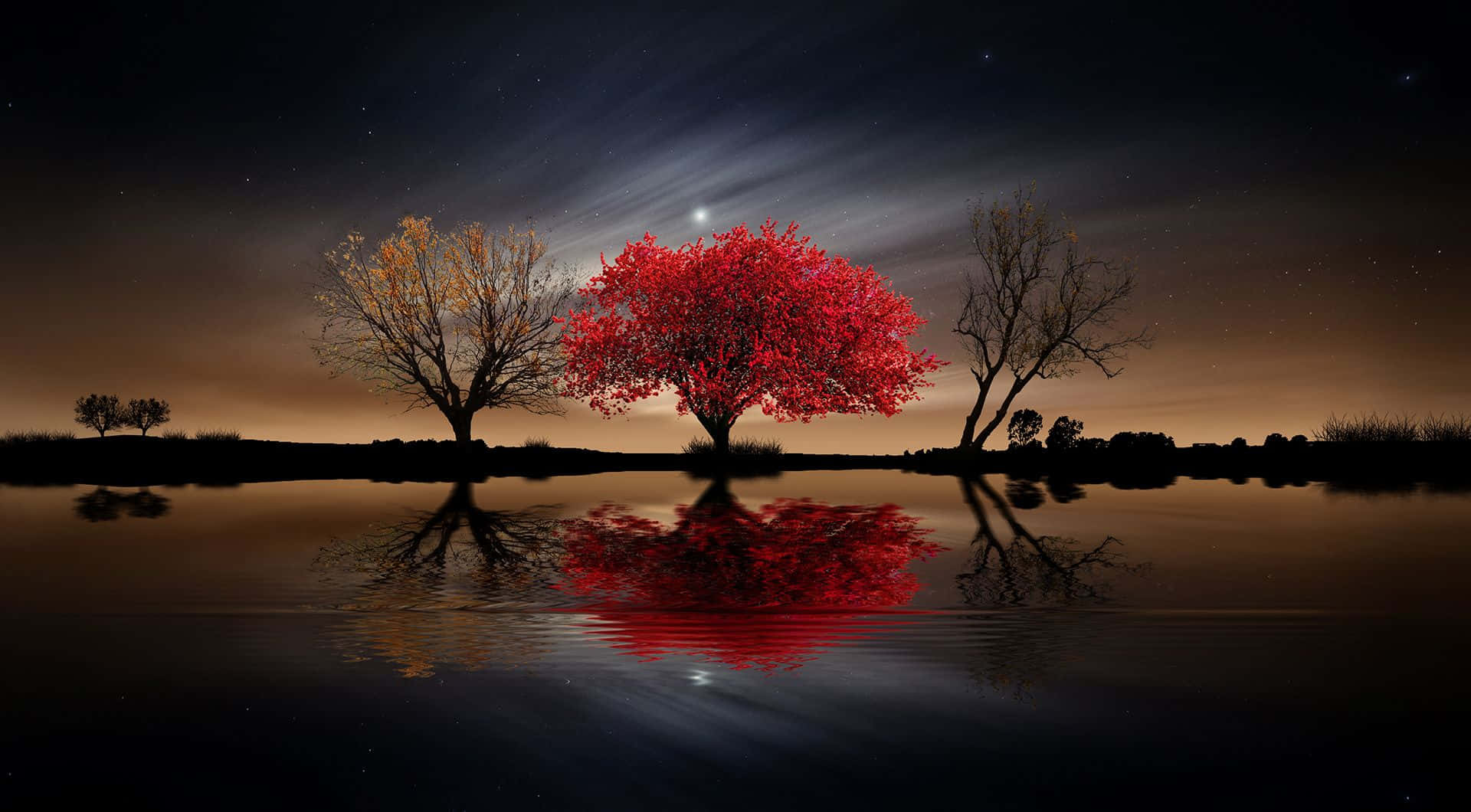 A Sinuous Red Tree, Reaching For The Sky Background