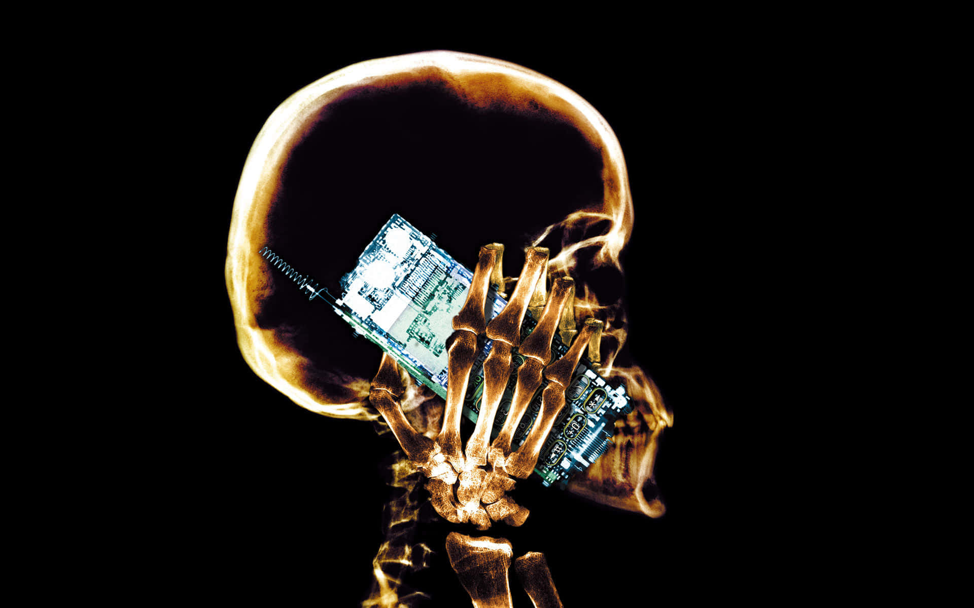 A Skeleton Holding A Cell Phone Background