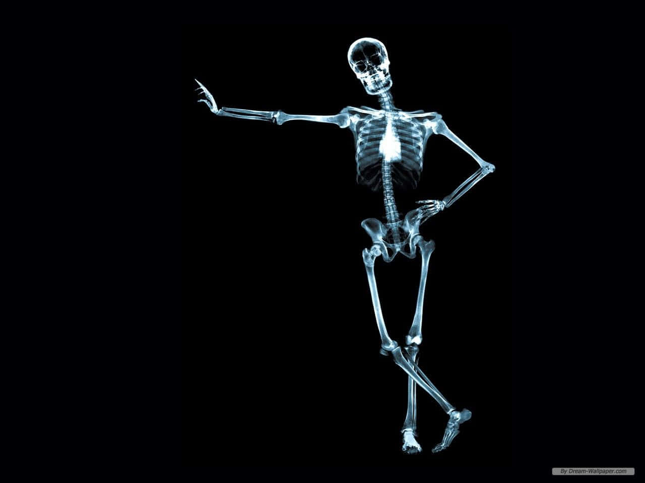 A Skeleton Is Standing On A Black Background