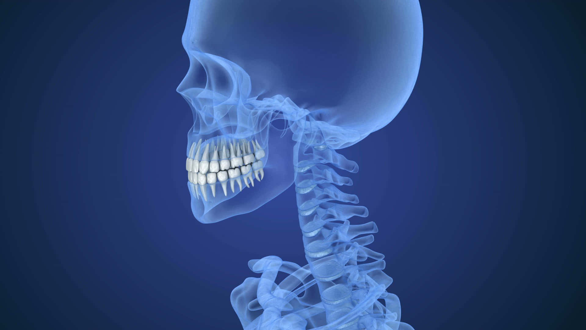 A Skeleton With Teeth In The Front Background