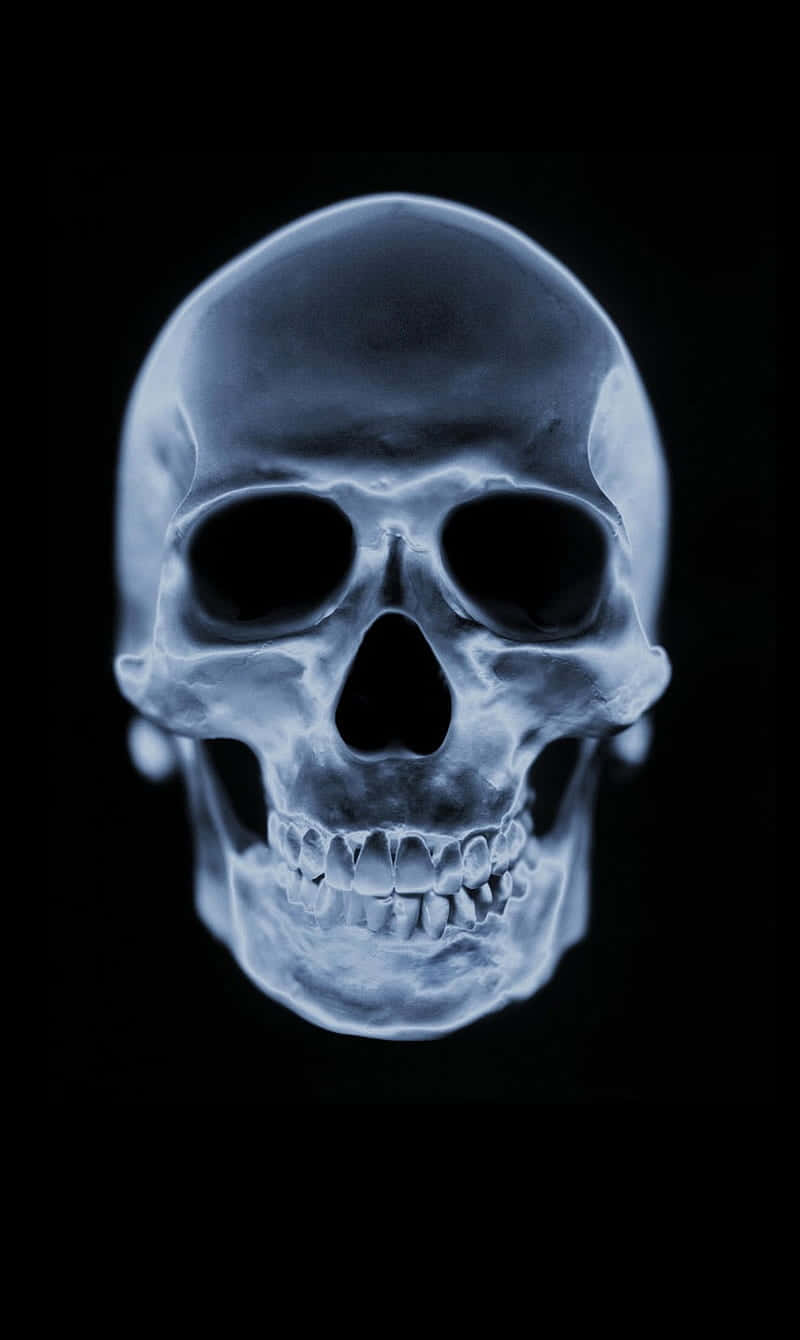 A Skull Is Shown On A Black Background
