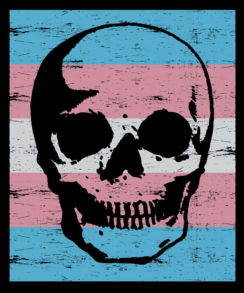 A Skull With A Transgender Flag On It Background