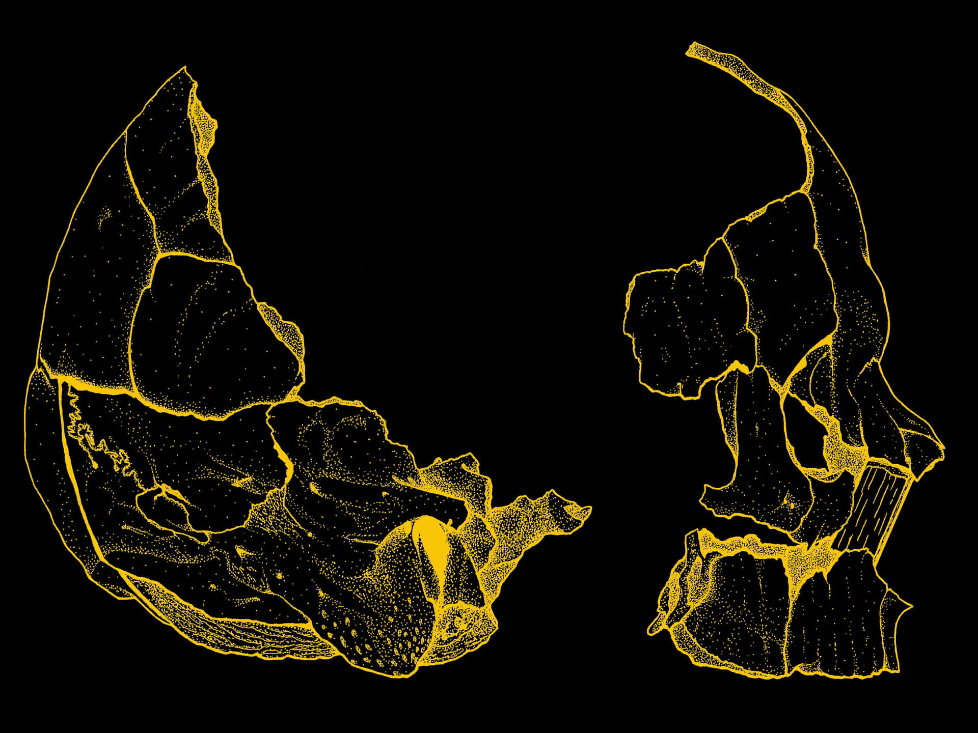 A Skull With A Yellow Outline On A Black Background