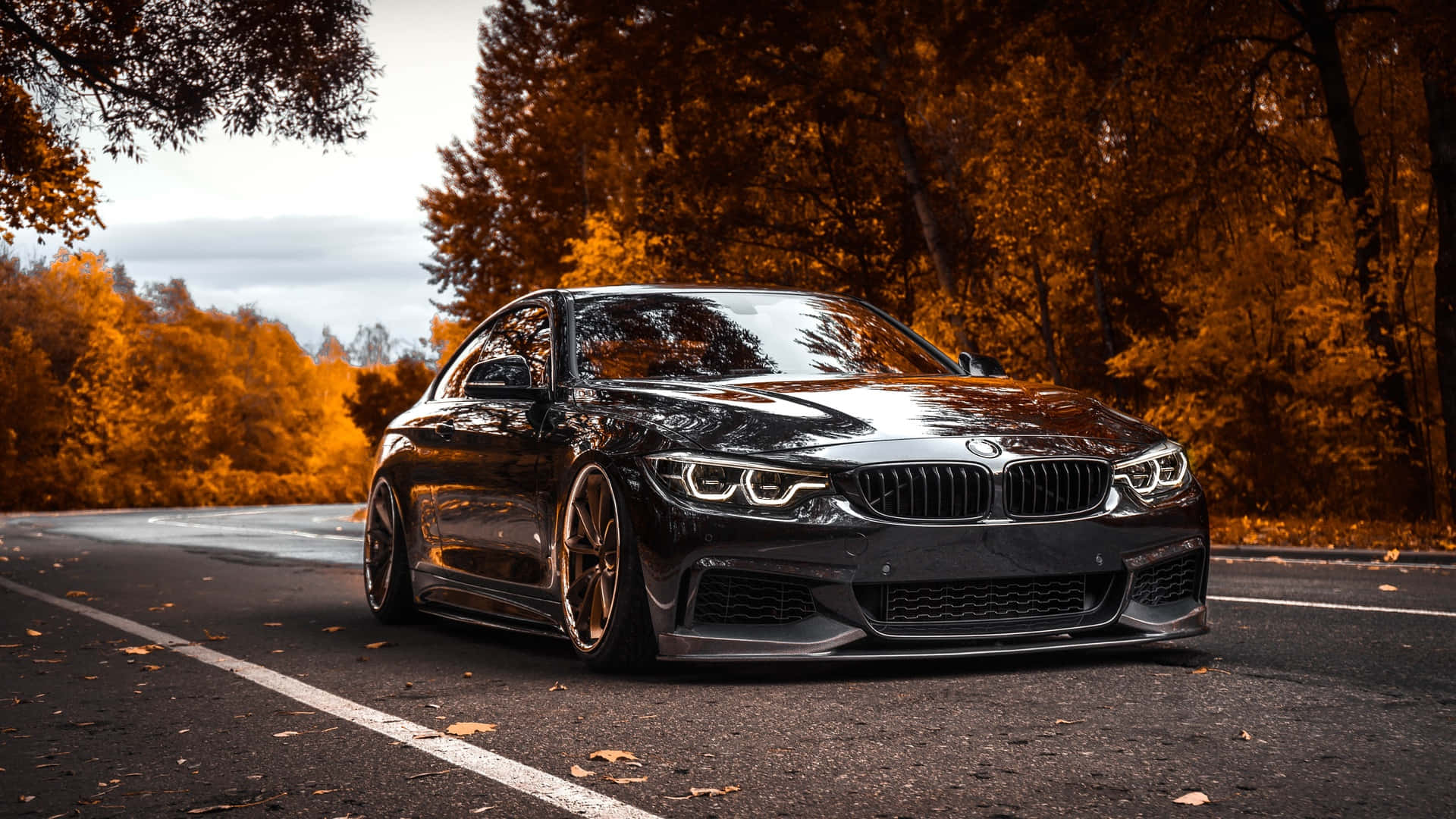 A Sleek And Stylish Bmw Car On A Bright Summer Day. Background