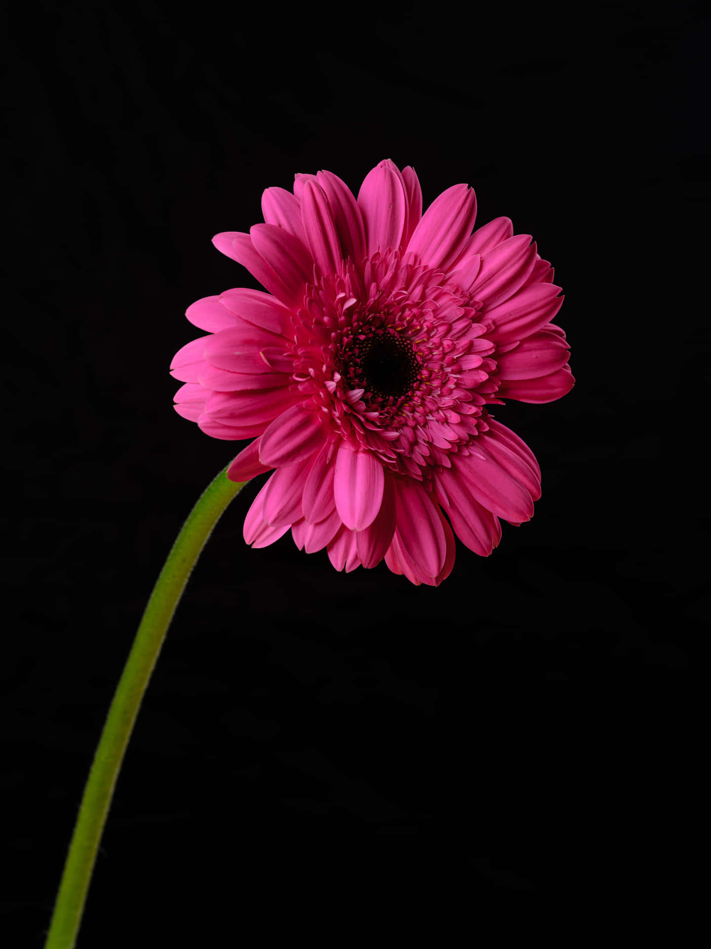 A Sleek Black And Pink Iphone That's Sure To Stand Out.