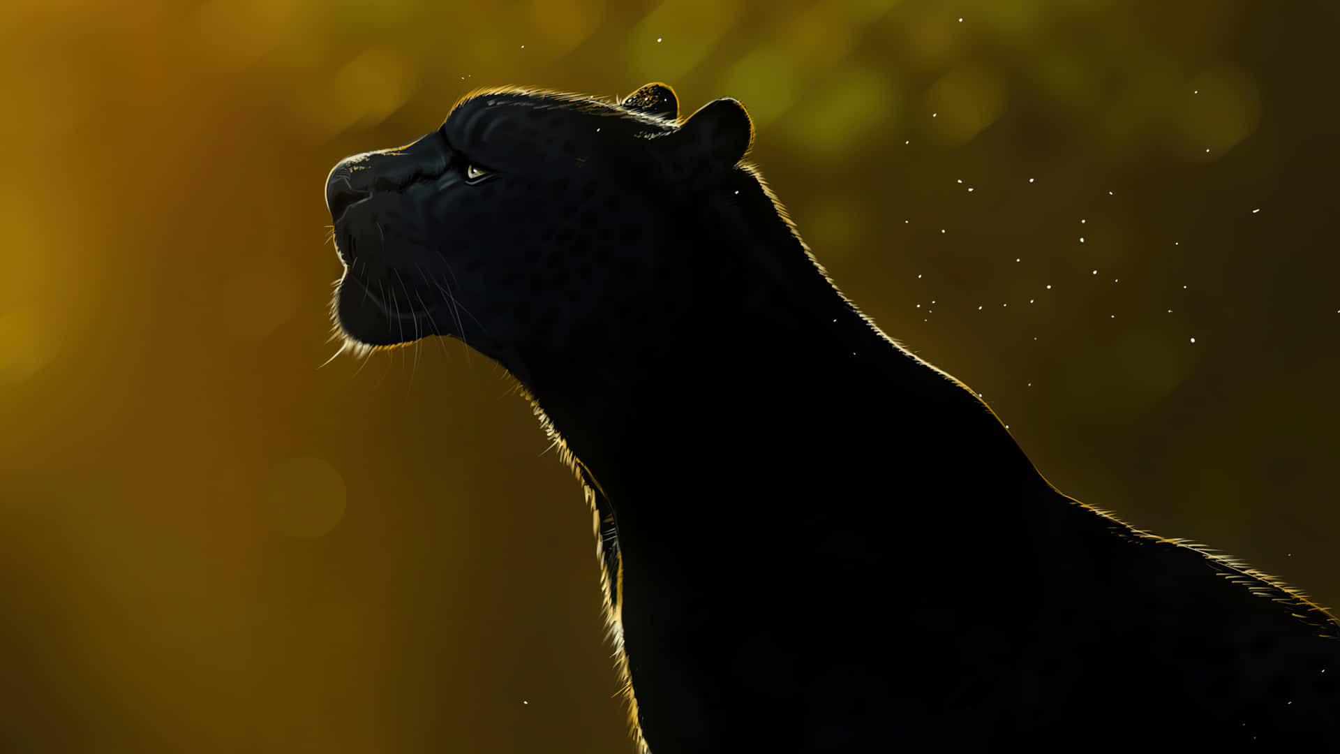 A Sleek Black Jaguar Roaming Freely Background