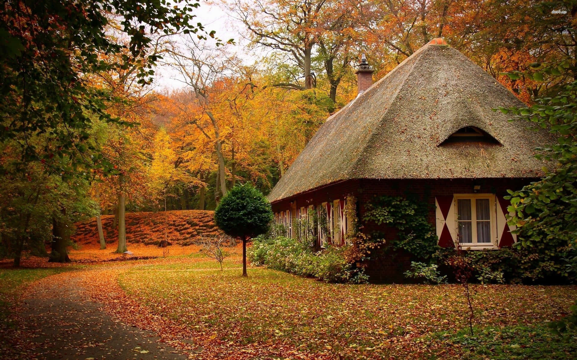 A Small House In The Woods Background
