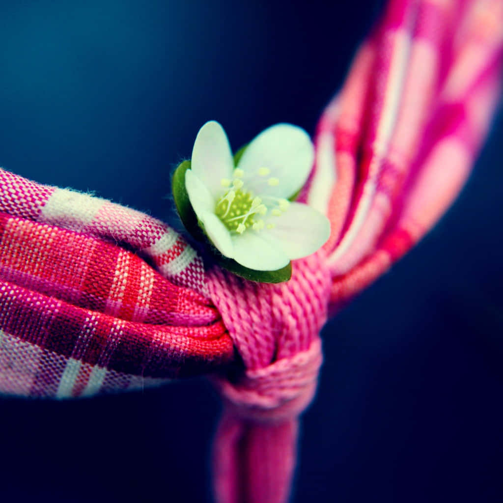 A Small White Flower On A Pink And White Checkered Tie Background