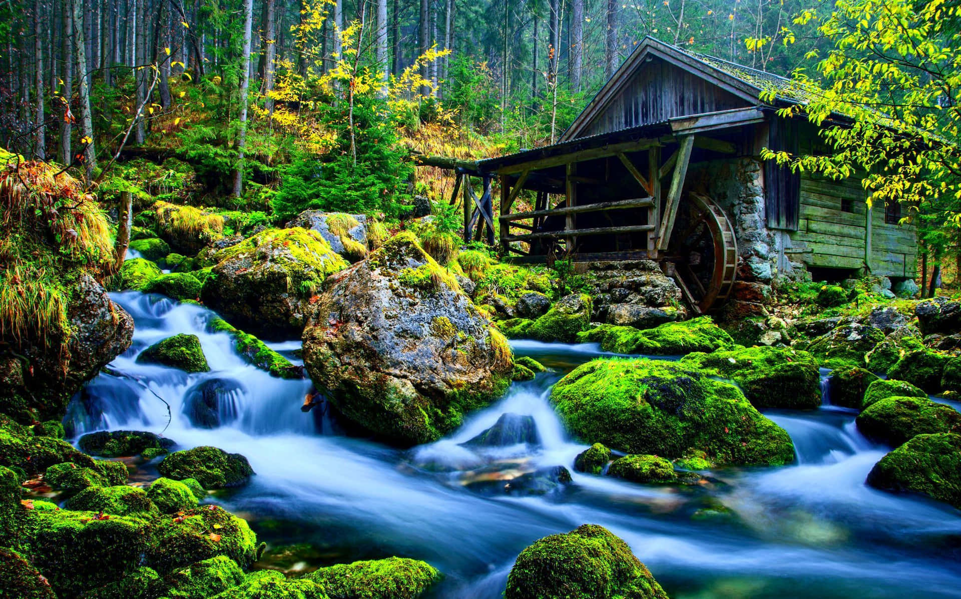 A Small Wooden House In The Forest With A Stream