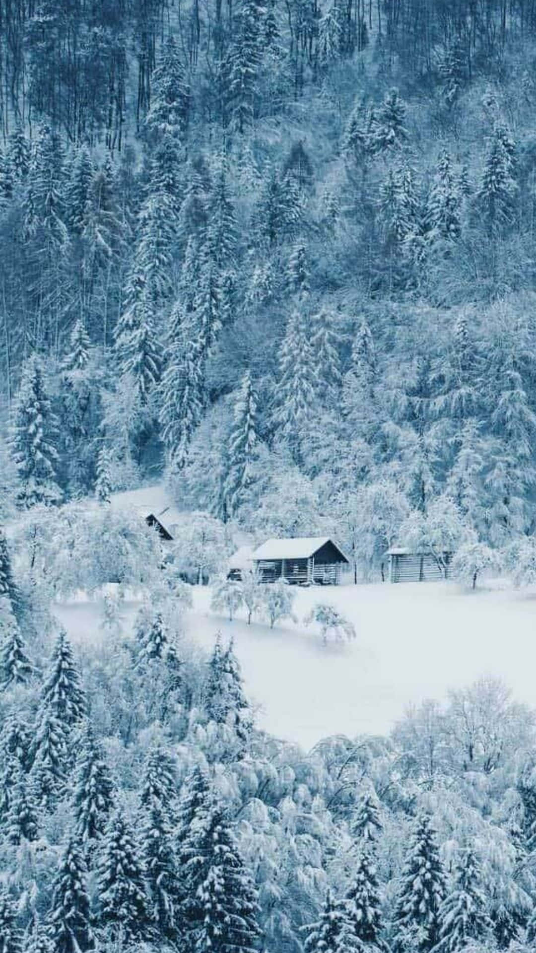 A Snow Covered Forest With A House In The Middle