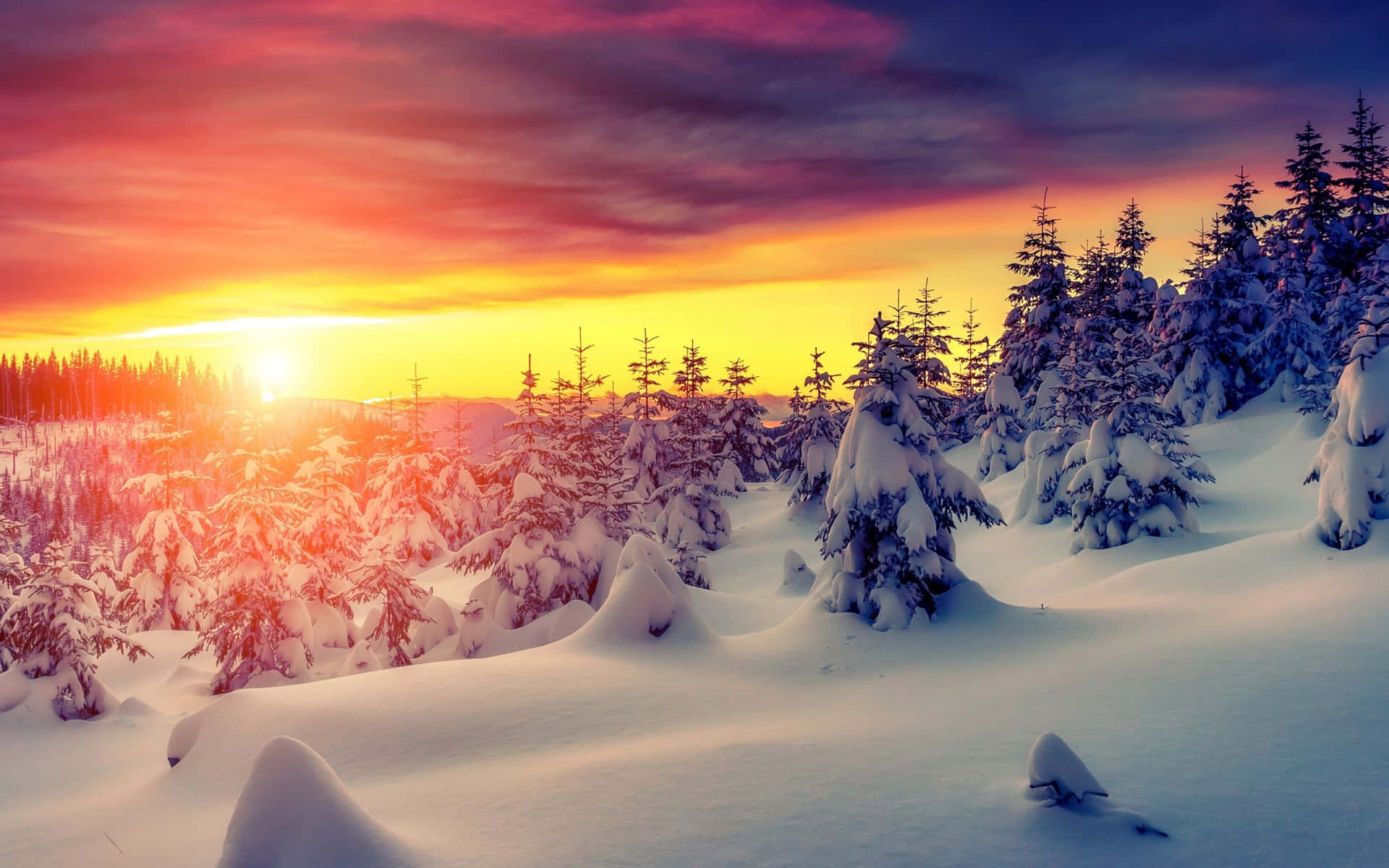 A Snow Covered Forest With A Sun Setting Behind It Background