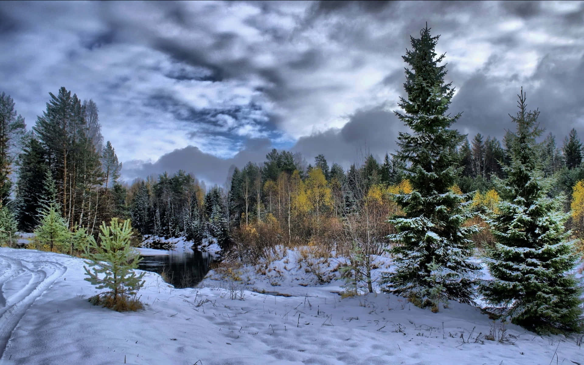 A Snow Covered Forest With Trees And Clouds Background