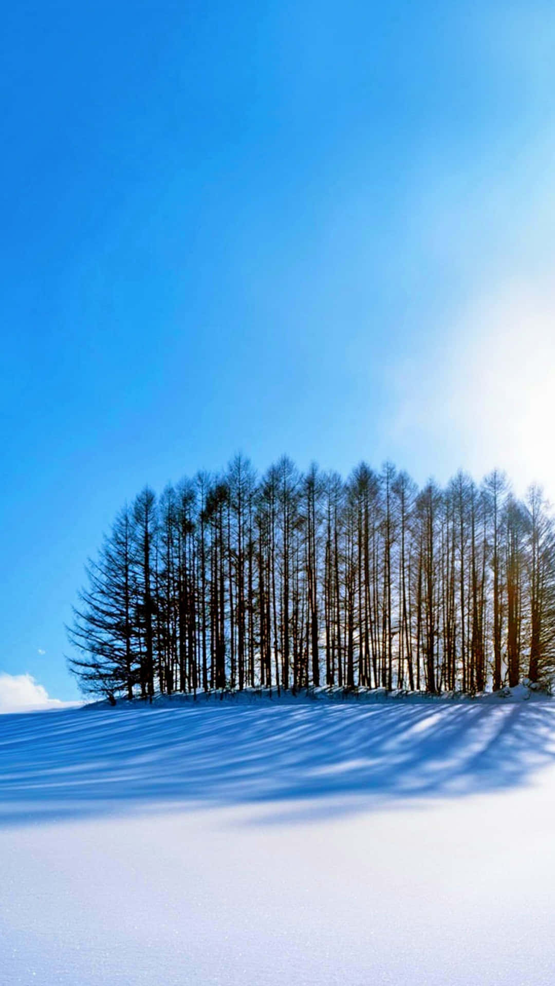 A Snow Covered Hill With Trees In The Background Background