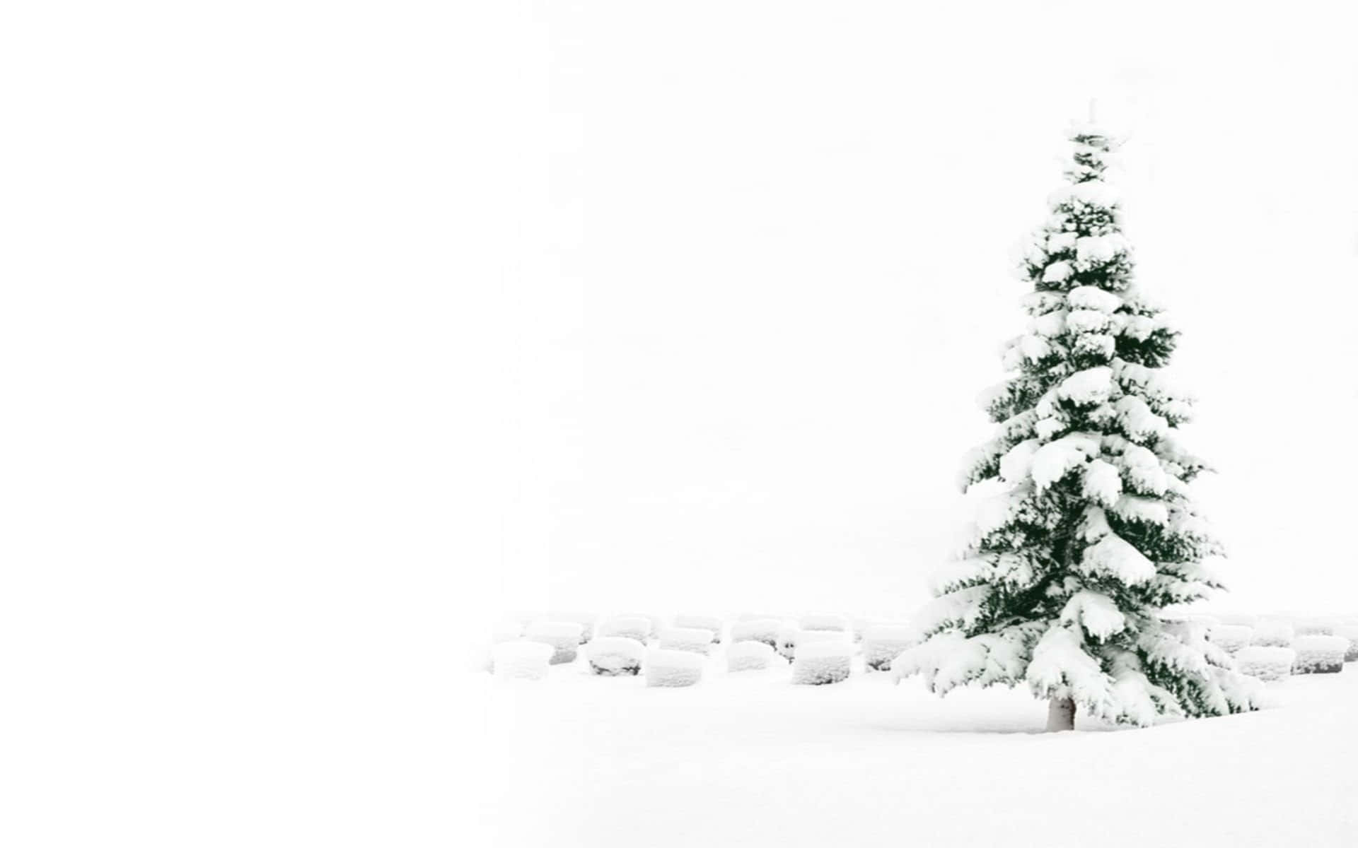 A Snow-covered Landscape Surrounded By Fog In Minimalist Winter Background