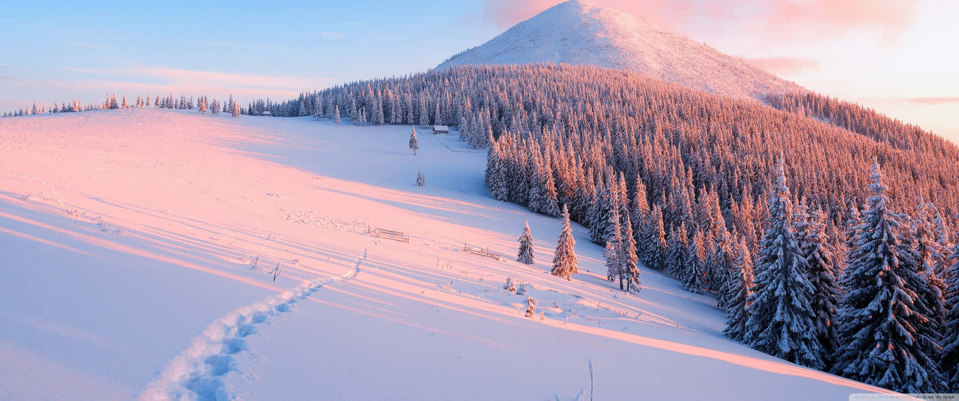 A Snow Covered Mountain With Trees And A Path Background