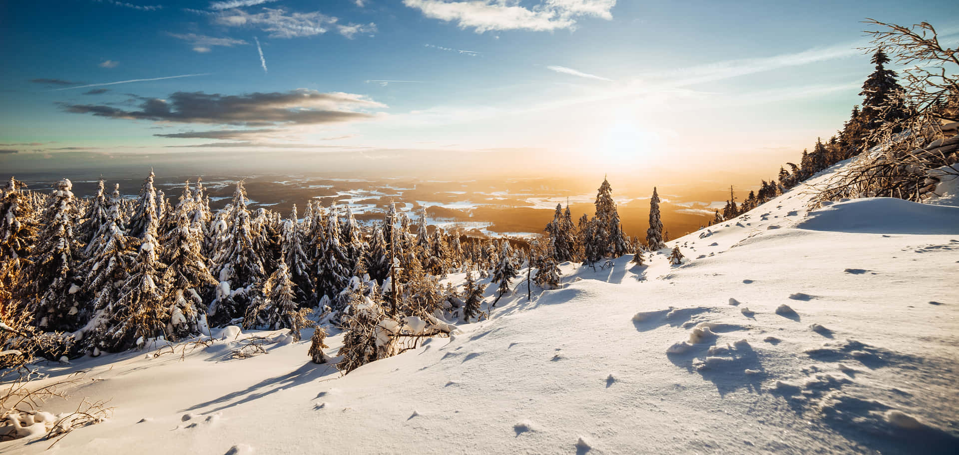 A Snow Covered Mountain With Trees In The Background Background