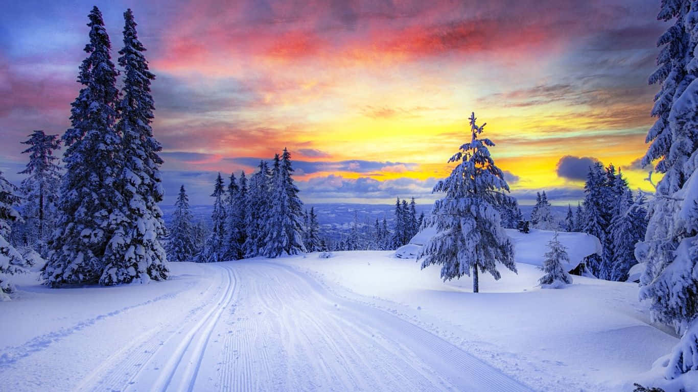 A Snow Covered Path With Trees And A Sunset