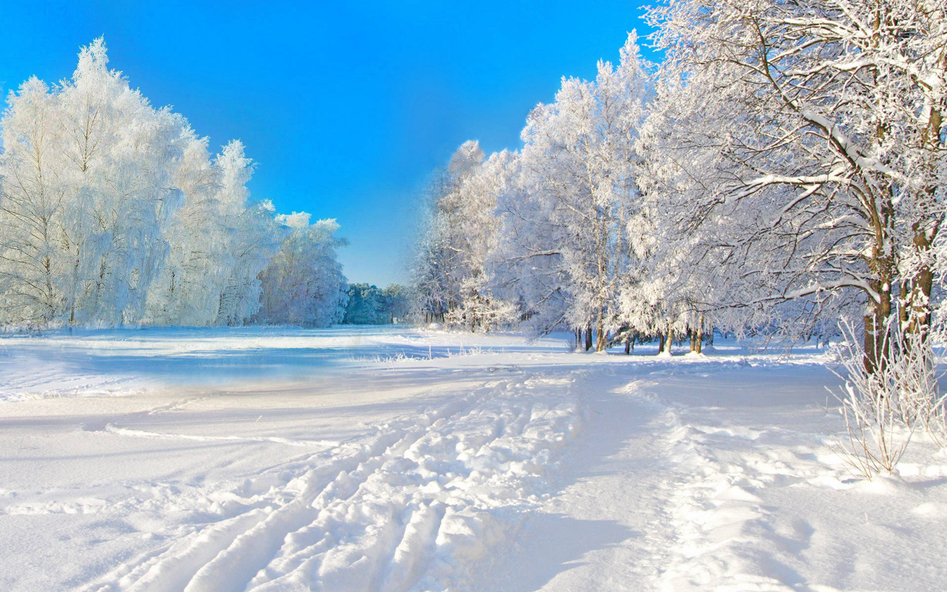 A Snow Covered Path With Trees And Blue Sky Background