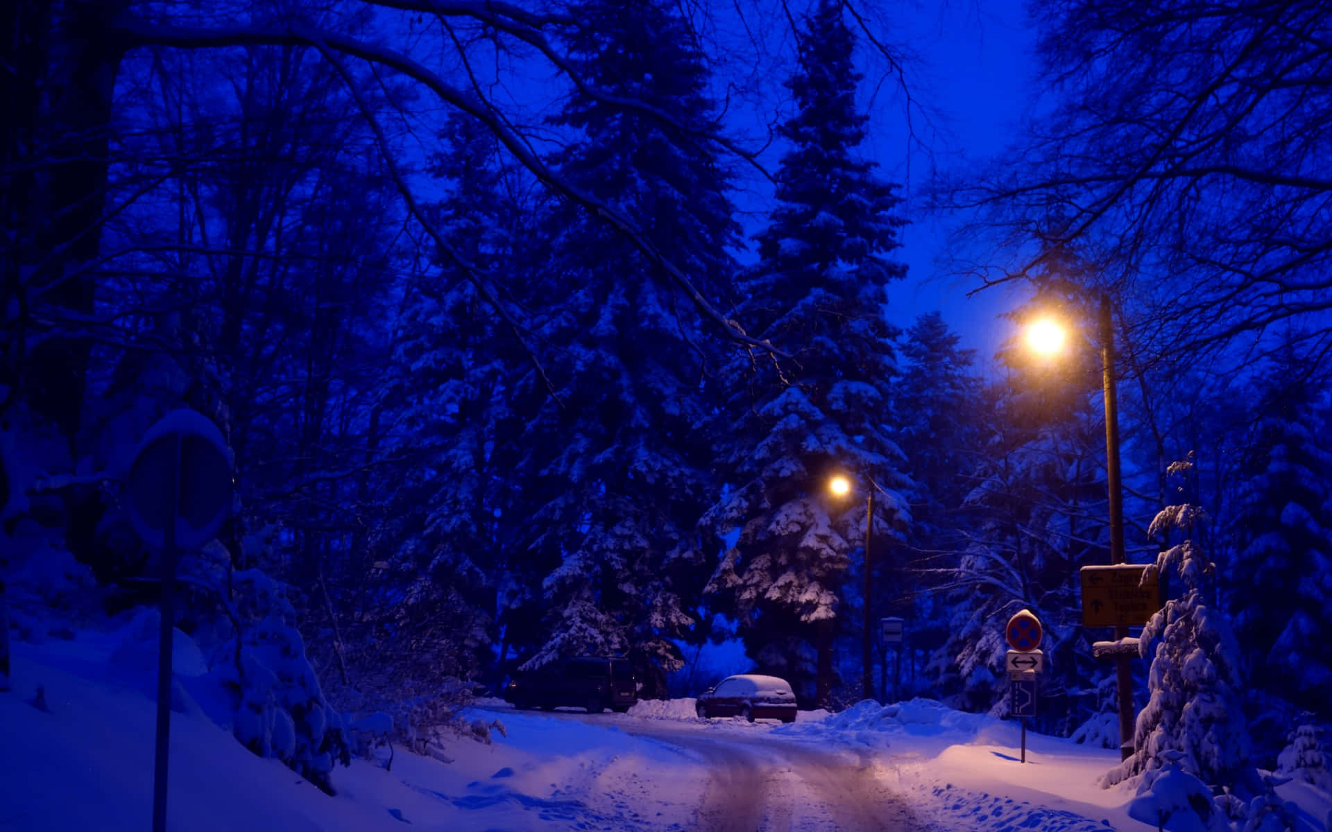 A Snow Covered Road