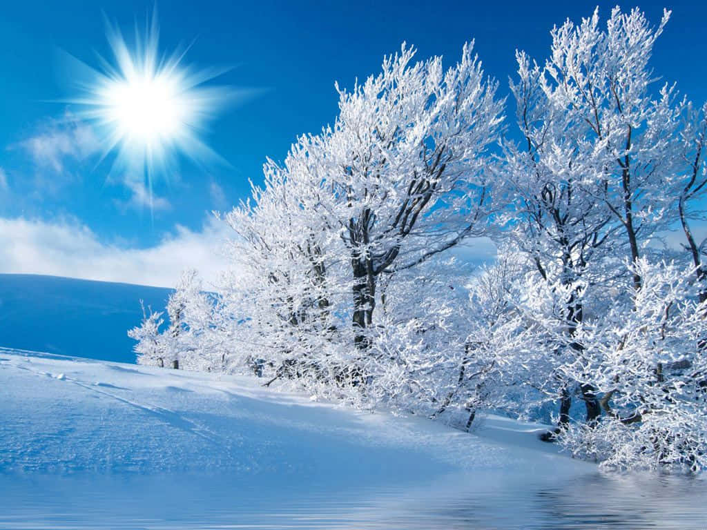 A Snow Covered Tree And A Blue Sky Background