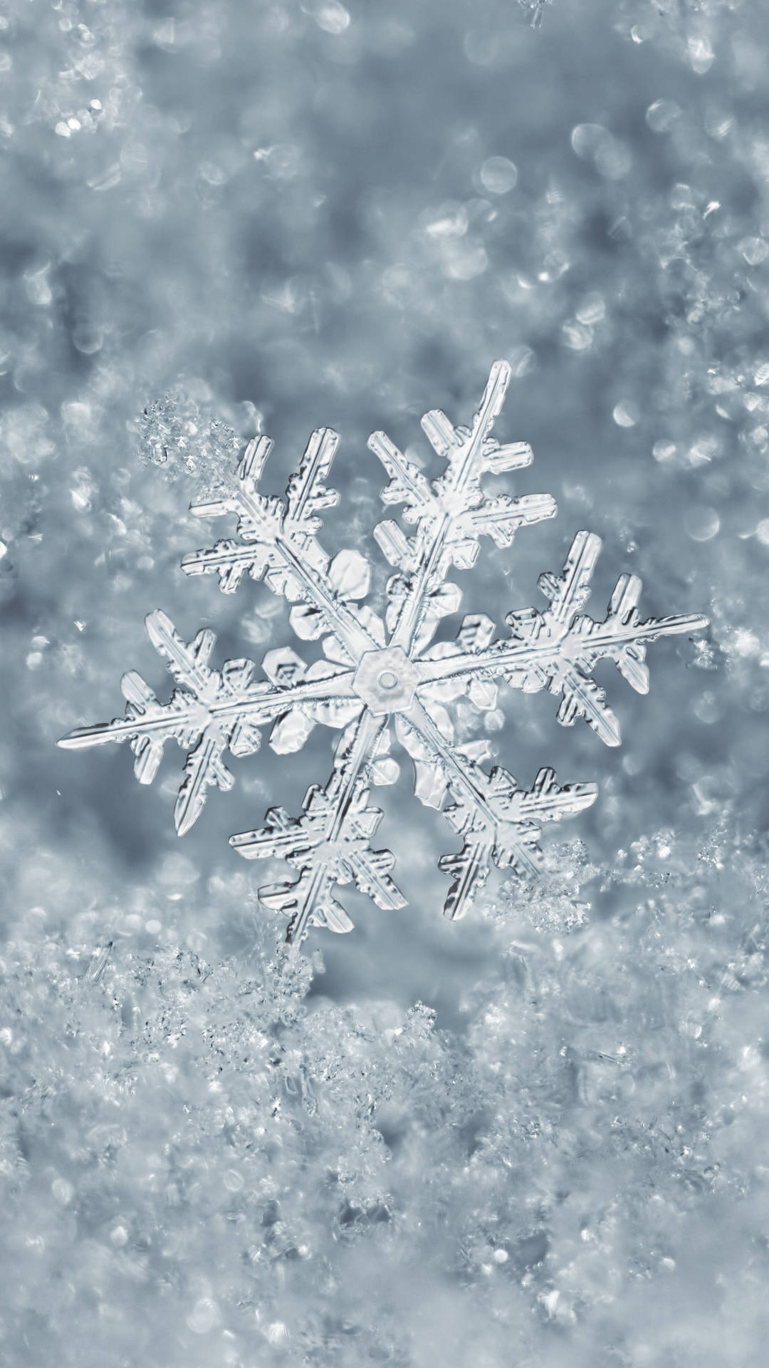 A Snowflake Is Floating In The Water Background