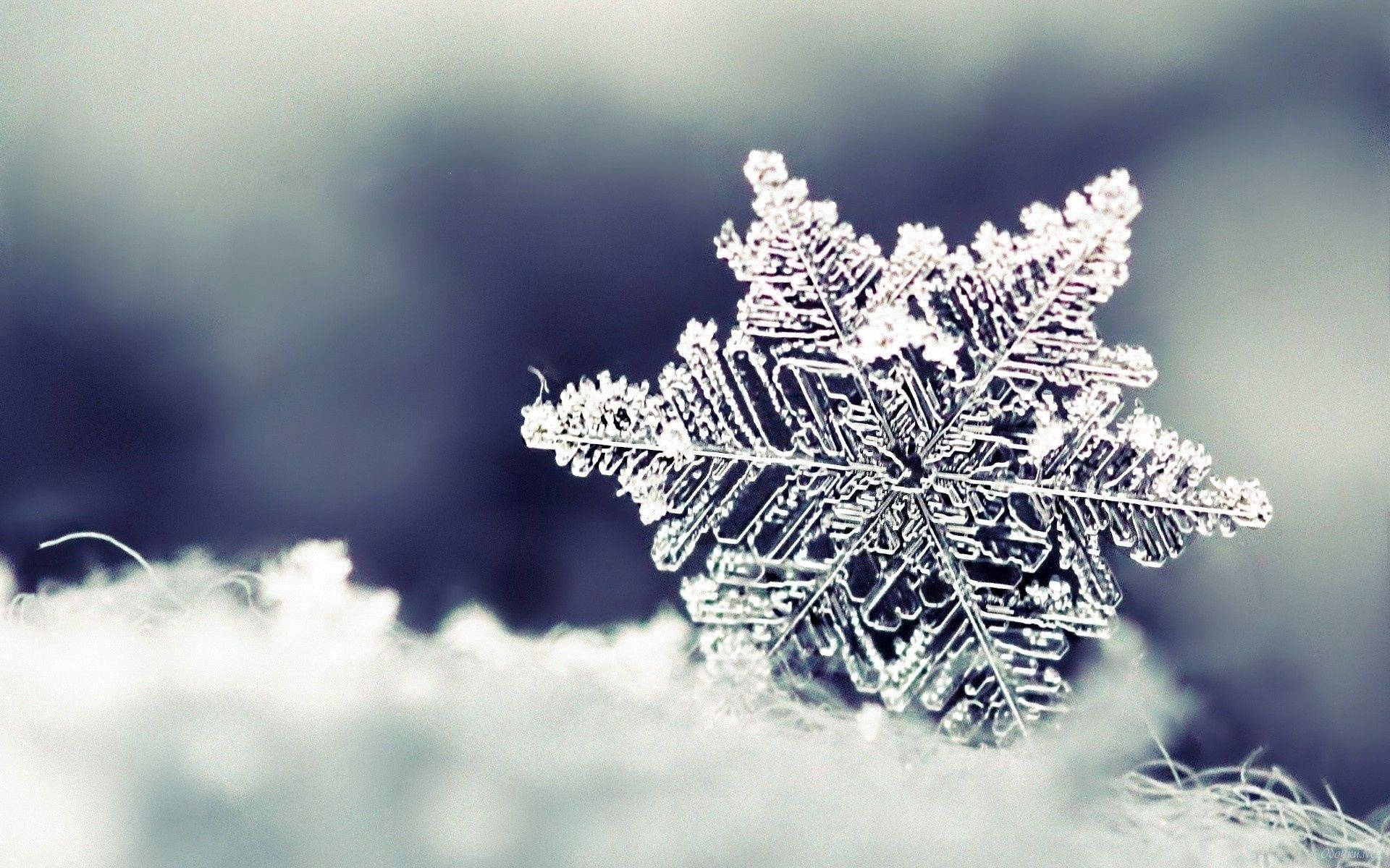 A Snowflake Is Sitting On Top Of A Snowy Field Background