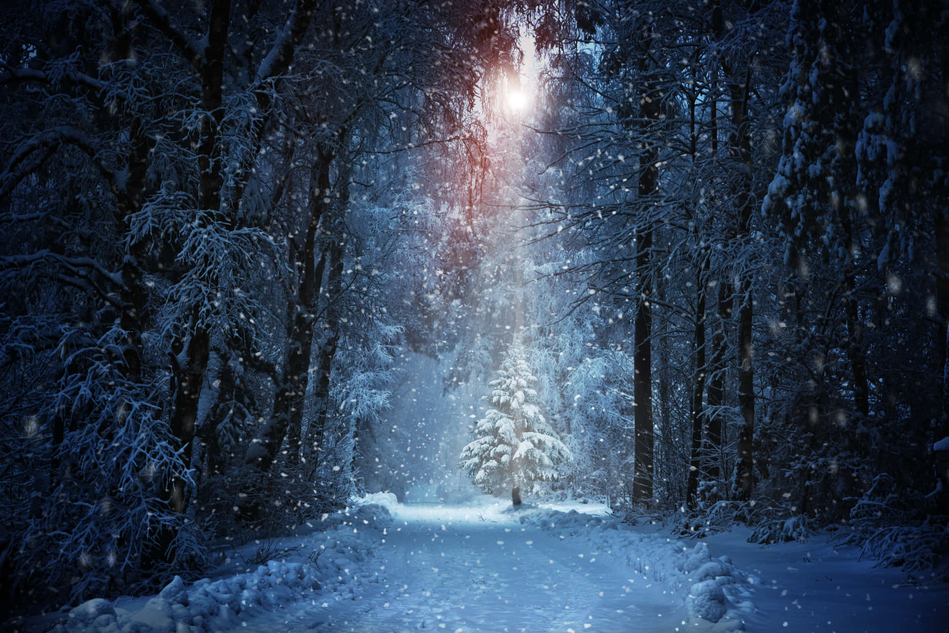 A Snowy Forest With A Christmas Tree In The Middle Background