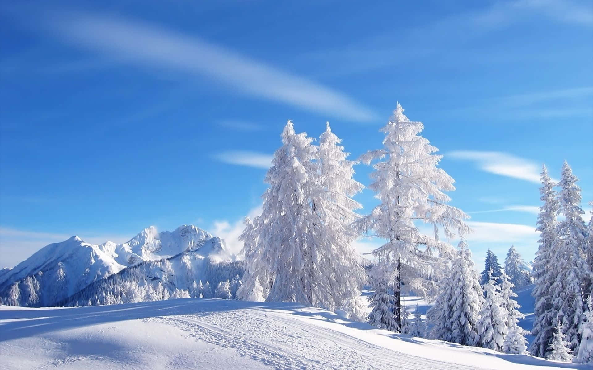 A Snowy Landscape Winter Wonderland Desktop