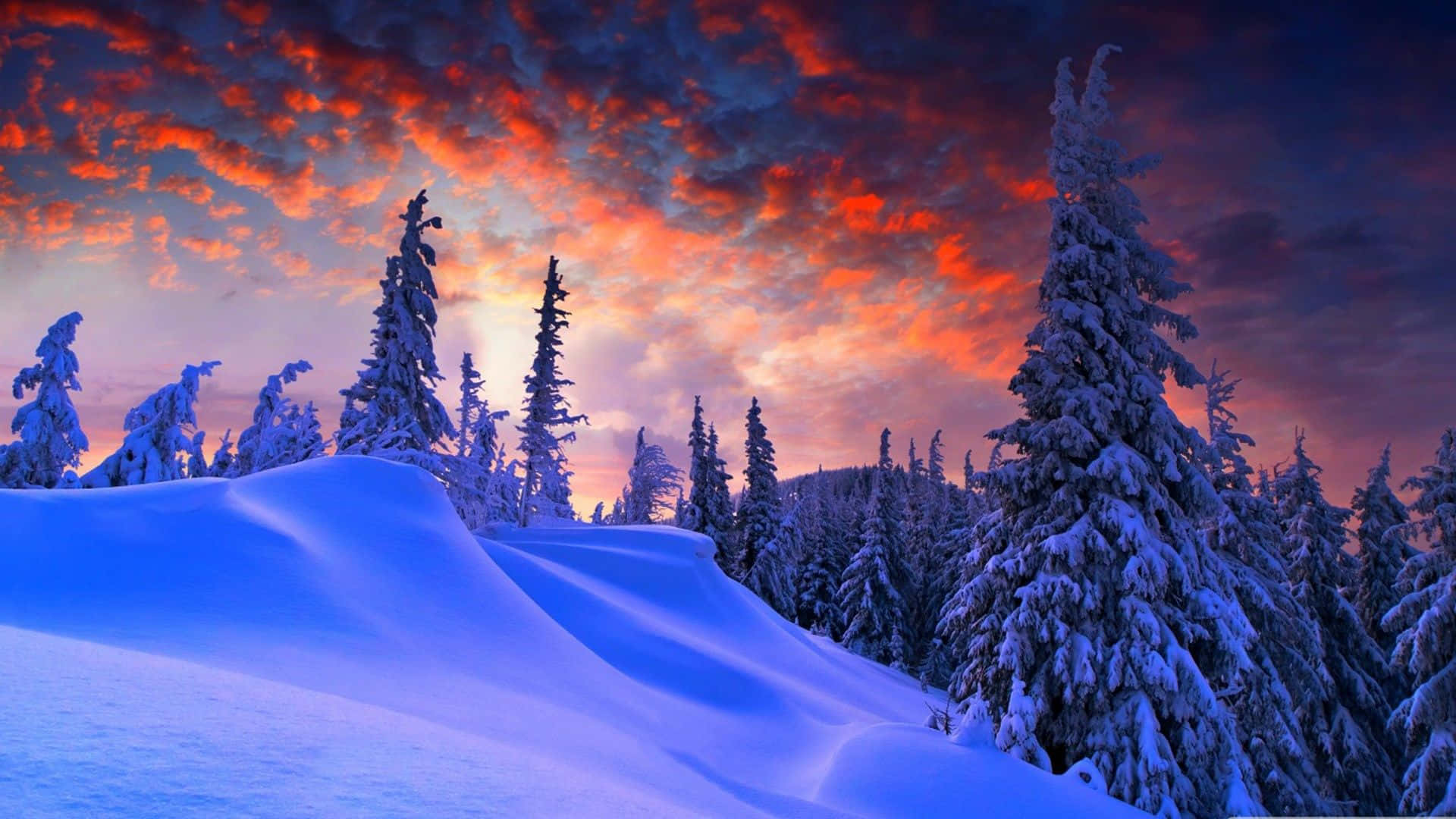 A Snowy Landscape With Trees And A Colorful Sky Background