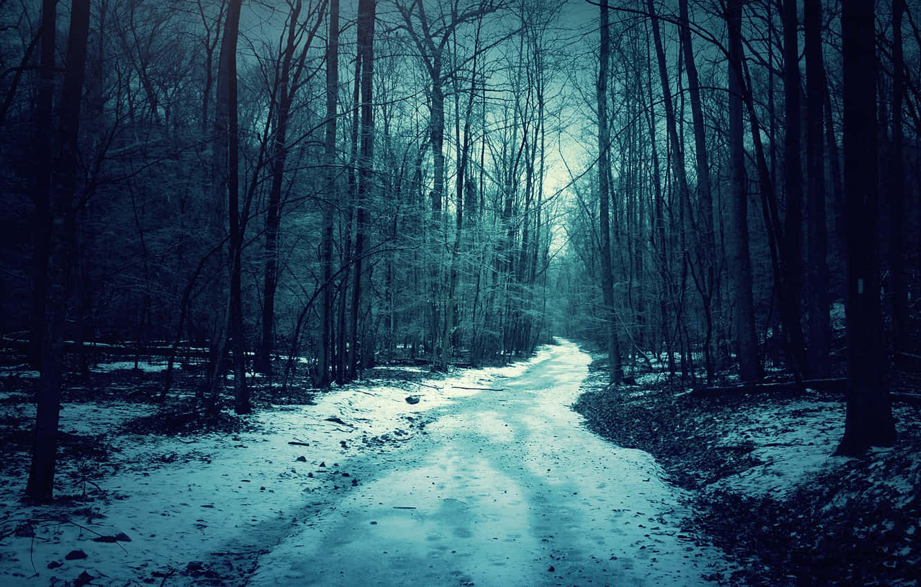 A Snowy Path In The Woods With A Dark Sky Background
