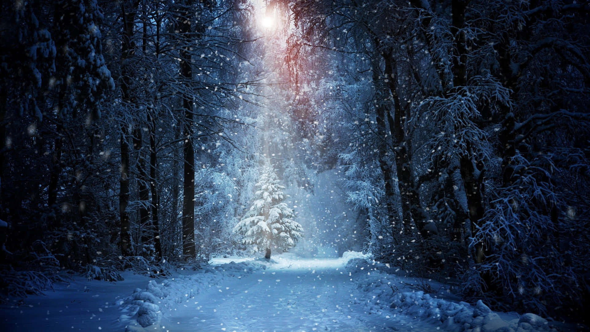 A Snowy Path With A Light Shining Through It Background