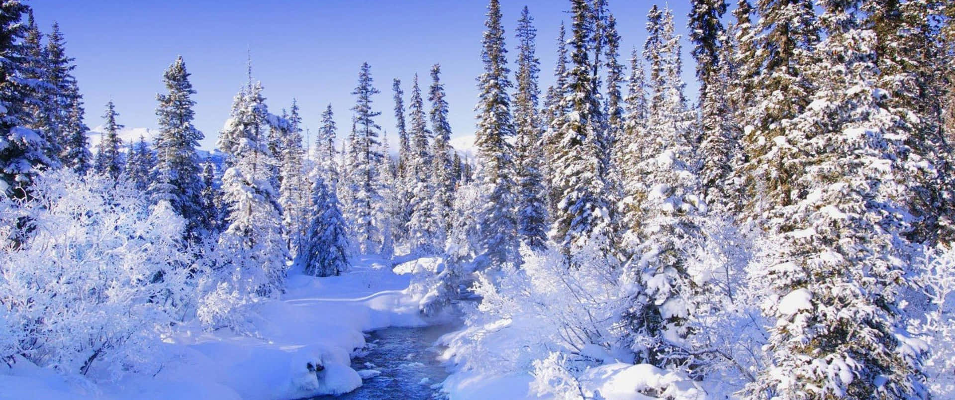 A Snowy Winter Landscape Background